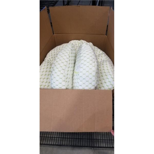 PROACTIVE PILLOW WITH 2 SMALLER PILLOWS