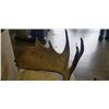 Image 3 : 4 FOOT WIDE ANTLER RACK