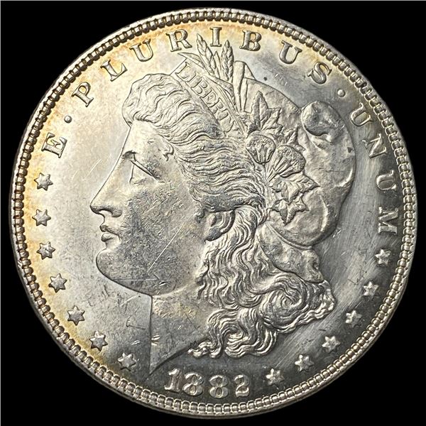 1882 PL Silver Morgan Dollar CHOICE BU