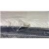 Image 4 : KINGSDOWN PALAIS ROYALE KING SIZE MATTRESS (CLEANING REQUIRED, SOME SCUFFS)