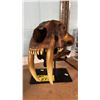 Image 2 : REPLICA RESIN SABRETOOTH TIGER SKULL WITH STAND