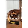 Image 3 : REPLICA RESIN SABRETOOTH TIGER SKULL WITH STAND