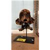 Image 4 : REPLICA RESIN SABRETOOTH TIGER SKULL WITH STAND