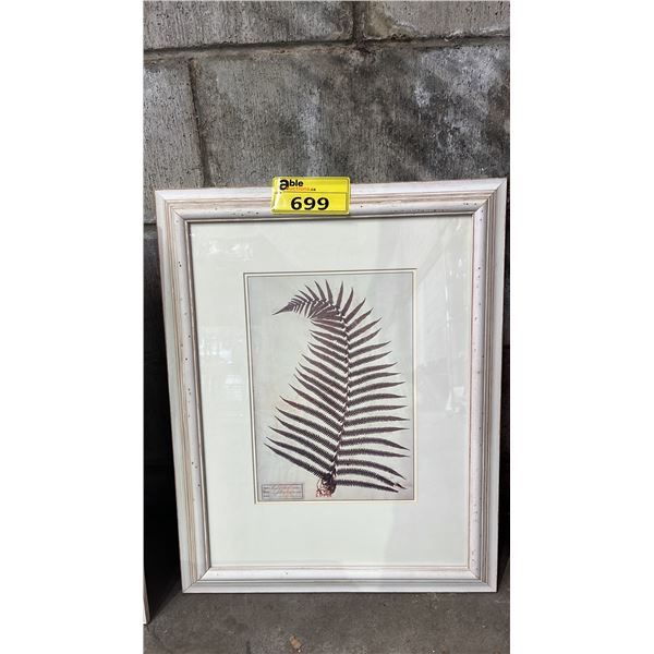 FRAMED LEAF PRINT