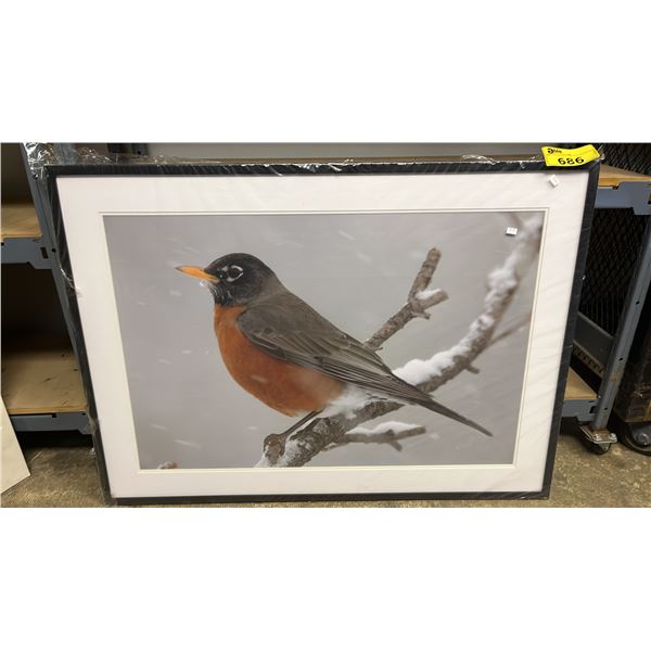 FRAMED BIRD PRINT WALL ART