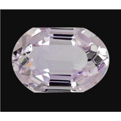 23.2ct Light Violet Amethyst Fancy Cut Gem Appraisal Estimate $4640 (GEM-15395)