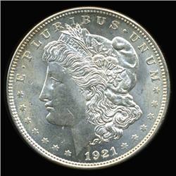 1921 Morgan Dollar GEM Unc Scarce Variety (COI-6280)