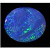1.73ct Australian Black Opal Doublet Full Fire (GEM-22634F)