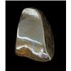 1275ct Rare Australian Boulder Opal (GEM-20424)