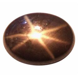 3.19ct Opaque Oval Cabochon Black Star Sapphire Natural  (GEM-23249)