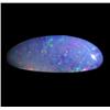 6.36ct Australian Black Opal Doublet Full Fire (GEM-22590A)