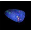 5.74ct Australian Black Opal Doublet Full Fire (GEM-20390)