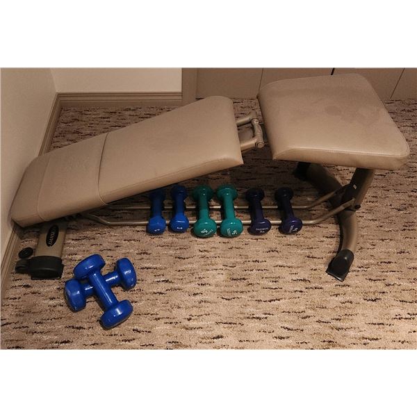 Danskin Adjustable Exercise Bench with Hand Weights