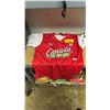Image 1 : CANADA WOMEN'S OLYMPICS SIGNED SOFTBALL JERSEY: SIZE L