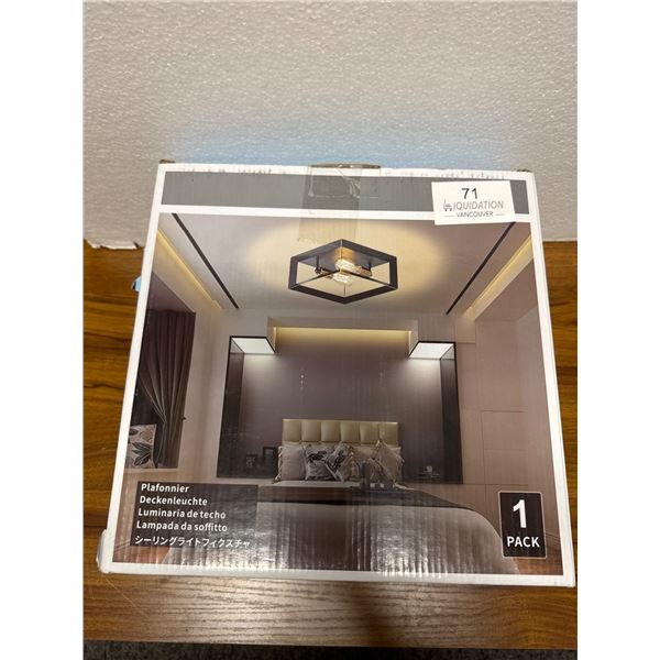 Brand new Ceiling Light Fixture