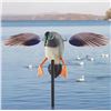 Image 5 : Brand New Mallard Duck Decoy with Remote Control