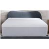 Image 1 : Brand New Mattress Protector Split King