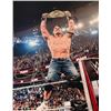Image 1 : WWE Jon Cena signed photo