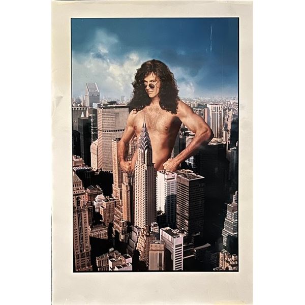 Private Parts original movie poster artwork