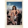 Image 1 : Private Parts original movie poster artwork