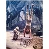 Image 1 : Star Wars Mark Hamill signed photo