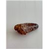Image 1 : Genuine Spinosaurus tooth