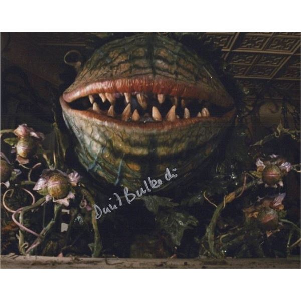 Little Shop of Horrors David Bulbeck Signed Photo