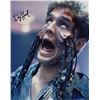 Image 1 : A Nightmare on Elm Street 5: The Dream Child Danny Hassel Signed Photo