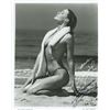Image 1 : Hollywood High Susanne Severeid signed photo