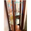 Image 3 : Lighted Curio Cabinet