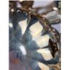 Image 6 : Metallic & Plated Servingware