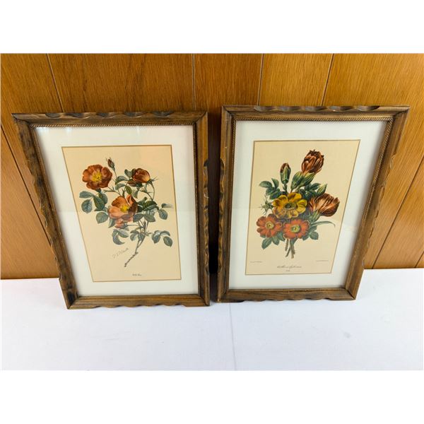 Floral Prints by P.J. Redoute