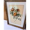 Image 2 : Floral Prints by P.J. Redoute