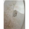 Image 6 : Kitchen Servingware Platters