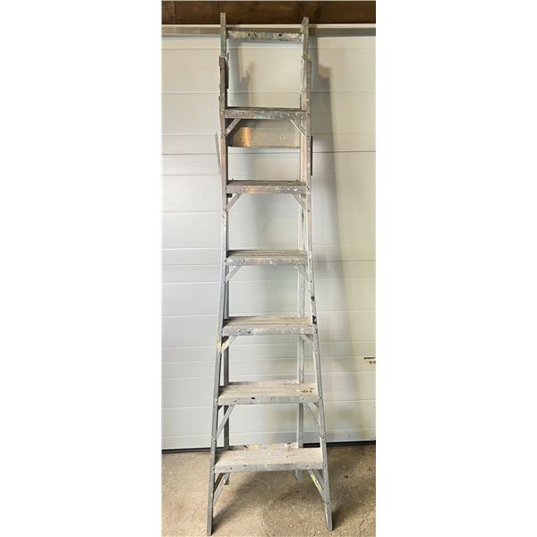 Folding Extension Ladder