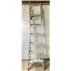 Image 1 : Folding Extension Ladder
