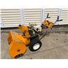 Image 1 : Mastercraft Snowblower