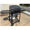 Image 1 : Outdoors Gas Grill BBQ