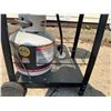 Image 3 : Outdoors Gas Grill BBQ