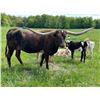Image 1 : Riverforks Yessiree