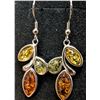 Image 1 : SILVER(3.68G), AMBER EARRING, SUGGESTED RETAIL VALUE $240
