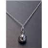 Image 1 : SILVER(5G), NECKLACE 16"