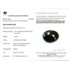 Image 3 : 22.02 CT CERTIFIED SERPENTINE JADE GEMSTONE ($550 APPRAISAL)