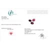 Image 3 : 10.47 CT CERTIFIED RUBY GEMSTONE PARCEL ($8,550 APPRAISAL)