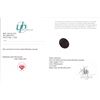 Image 3 : 6.55 CT CERTIFIED BRAZILIAN EMERALD GEMSTONE ($5,000 APPRAISAL)