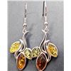 Image 1 : SILVER(4.99G), AMBER EARRING, SUGGESTED RETAIL VALUE $200