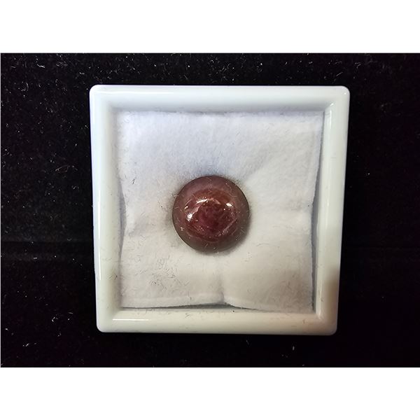 *NEW* 22CT ROUND CABOCHON UNTREATED NATURAL STAR RUBY: 13.8MM X 12.8MM