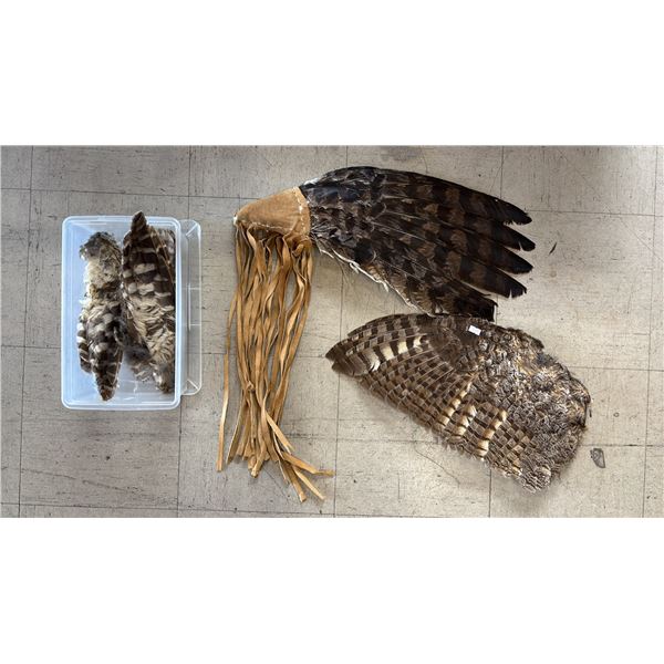 SHELF OF ASSORTED BIRD FEATHERS