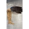 Image 3 : SHELF OF ASSORTED BIRD FEATHERS