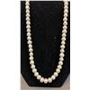 Image 2 : BAG OF (15) FRESHWATER PEARL NECKLACES